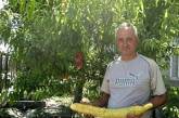Житель Одесской области вырастил гигантский огурец