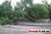 В Николаеве возле парка Петровского на тротуар рухнуло дерево