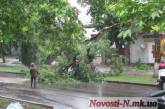 Во время вчерашнего ливня в Николаеве два дерева упали на электрические провода. ДОБАВЛЕНО ВИДЕО