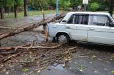 В центре Николаева дерево упало на автомобиль