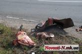 Результат аварии в Николаеве: кровь, разбросанные головы и ноги на дороге
