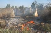 В Николаеве горело кладбище
