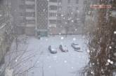 В ближайшие три дня Николаев будет во власти стихии: мороз, метели и штормовой ветер 