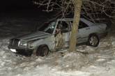 На Николаевщине «Мерседес» слетел со скользкой дороги и врезался в дерево. Водитель погиб