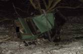 На Николаевщине ВАЗ на большой скорости слетел с трассы и врезался в дерево: водитель погиб, пассажир травмирован