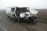 На Николаевщине «ГАЗель» врезалась в «МАН». Пассажир микроавтобуса погиб
