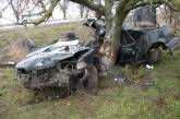 На Николаевщине «Хюндай» вылетел с трассы и врезался в дерево: пострадали водитель и 6-месячный пассажир