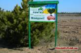 В Николаеве в память о погибших на Майдане посадили лес