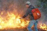 Воскресенье на Николаевщине ознаменовалось самым масштабным лесным пожаром в нынешнем году