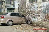 В Николаеве дерево упало на припаркованный автомобиль