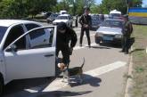 На блок-постах Николаевщины дежурят даже собаки