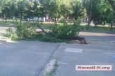 В центре Николаева рухнувшая ветка перегородила проезд во двор