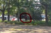 Николаевская защитница животных жалуется на клиентов «пивнух», которые справляют нужду в городском сквере