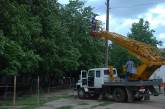 Непогода в Николаеве: дерево едва не рухнуло на жилой дом