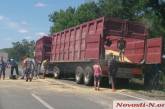 Под Николаевом на международной трассе перевернулся грузовик. Одна полоса движения оказалась заблокированной