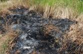 В минувшие сутки на Николаевщине пылали пожары на пяти гектарах открытых территорий 