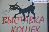 В Николаеве проходит выставка кошек: можно не только посмотреть, но и купить