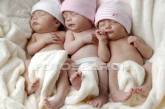 Информация о пяти младенцах, рожденных в Херсоне одной матерью, оказалась «уткой»
