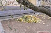 «Листья желтые над городом кружатся»: как в Николаеве справляются с уборкой улиц