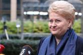 Литва призывает ЕС предоставить Украине военную поддержку