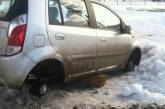 Мародерство на трассе под Одессой: десятки брошенных машин разбиты и разграблены 