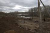 Браконьеры вырубили 1200 деревьев и 416 кустов на территории николаевского заповедника