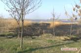 В Николаеве пылал пожар в зеленой зоне