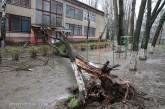 В Николаеве спасатели разблокировали вход в детский сад, который загородило упавшее дерево
