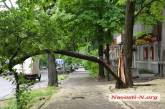 Упавшее дерево перегородило проезд по Большой Морской в Николаеве
