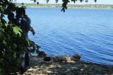 Подозреваемый в убийстве николаевца, тело которого нашили на берегу реки, арестован. ВИДЕО