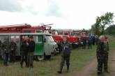 Николаевские пожарные учились тушить лесные пожары
