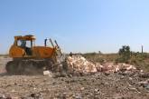 В Крыму уничтожено более 4 тонн санкционных нектаринов. ФОТО 