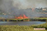 В Николаеве пылают камыши: столб дыма растянулся на несколько километров. ВИДЕО