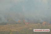 Под Николаевом бушует мощнейший степной пожар, охвативший десятки гектаров. ФОТО, ВИДЕО