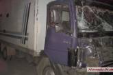 Водитель грузовика, совершивший кровавое ДТП с маршруткой в Николаеве, взят под стражу