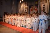 Молодые каратисты сразились в IX Открытом чемпионате Николаевской области