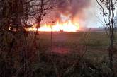 На Николаевщине загорелся камыш: огонь едва не перекинулся на рядом расположенные дома