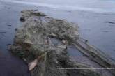 На Херсонщине пойманы двое браконьеров из Николаевщины, которые наловили рыбы на 100 тыс. гривен