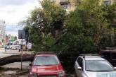 Буря в Одесской области: один человек погиб, десятки сел без света