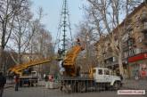 В преддверии Нового года: в Николаеве устанавливают главную городскую елку