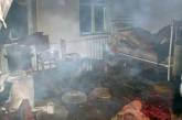 На Николаевщине в пожаре погибли три человека, в том числе шестилетний ребенок. ВИДЕО