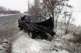 На Николаевщине из-за гололеда автомобиль вылетел в кювет и столкнулся с деревом