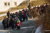 Четыре страны готовы закрыть границы для беженцев