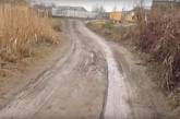 Продолжение «болотного блокбастера»: жительница Николаева сняла видео об отсутствии дорог в частном секторе