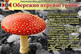 В Первомайском районе два человека отравились грибами