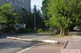 Упавшее дерево обесточило несколько десятков домов в центре Николаева