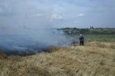 В Николаевской области за сутки произошло 15 случаев возгораний сухой травы и мусора 