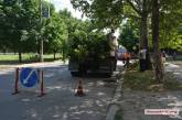 В Николаеве «зеленхоз» надумал проводить обрезку деревьев посреди лета