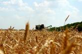 Хлеборобы Николаевщины собрали первый миллион тонн зерна