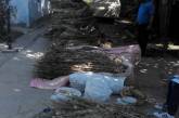У жительницы Очаковского района изъяли 100 кг высушенного снотворного мака